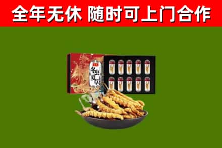 路桥回收冬虫夏草价格